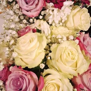 Meet your Posher, Mary